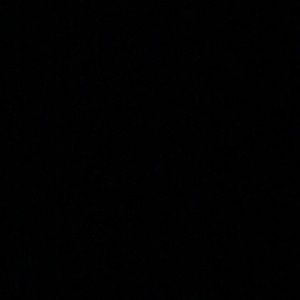 Meet your Posher, Ty